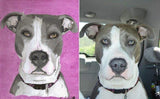 F&S Gift Store Custom Pet Portrait - (done in Oils)