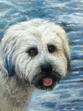 Personalized Oil Painting From Photos, handcraft art on Canvas-Show Case IDS101711-24