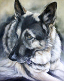 Personalized Oil Painting From Photos, handcraft art on Canvas-Show Case NMR101800-48