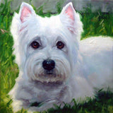 F&S Gift Store WonderfulWesties, custom Pet Portrait Oil Painting by puci, 8x8"