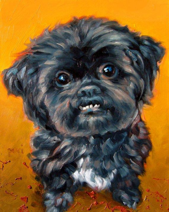 F&S Gift Store Shihtzu Smiles, custom Pet Portrait Oil Painting by puci, 8x10"