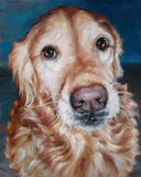 Personalized Oil Painting From Photos, handcraft art on Canvas-Show Case NOJ100297-48