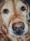 F&S Gift Store Anticipation, Custom Pet Portrait Oil Paintings by puci, 8x10"