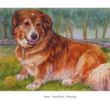 Personalized Oil Painting From Photos, handcraft art on Canvas-Show Case CJO100209-24