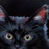 Personalized Oil Painting From Photos, handcraft art on Canvas-Show Case OBS100340-24