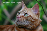 F&S Gift Store GreenEyedTabby, custom Pet Portrait Oil Painting by puci, 10x10"