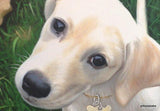 F&S Gift Store Dog portrait from photo, large oil painting on canvas. 100% money-back guarantee