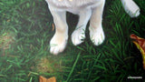 Personalized Oil Painting From Photos, handcraft art on Canvas-Show Case JEO101712-20