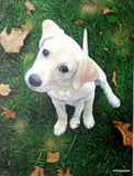 F&S Gift Store Dog portrait from photo, large oil painting on canvas. 100% money-back guarantee