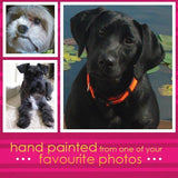 F&S Gift Store Custom 8"x8" Pet Portrait by LaPine Design - Oil Painting on Gallery Wrapped Canvas