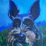 F&S Gift Store Custom 8"x8" Pet Portrait by LaPine Design - Oil Painting on Gallery Wrapped Canvas