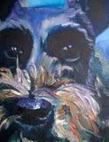 F&S Gift Store Custom 12"x12" Pet Portrait by LaPine Design -Oil Painting on Gallery Wrapped Canvas