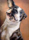F&S Gift Store Dog Portrait Commission Offer. Custom Oil Painting of any Pet. Commission Offer for Your Pet Portrait.