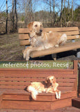 Personalized Oil Painting From Photos, handcraft art on Canvas-Show Case FLS102328-24