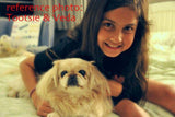 F&S Gift Store Playtime, CUSTOM Pet Portrait paintings in Oils by puci, 12x12" (pet&person)