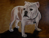 Personalized Oil Painting From Photos, handcraft art on Canvas-Show Case AGL101114-30