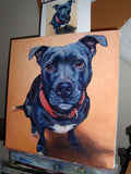 F&S Gift Store PatientPets, custom Pet Portrait Oil Painting by puci, 12x12"