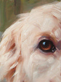 F&S Gift Store Golden Retriever, custom pet portrait oil painting by puci, 8x10"