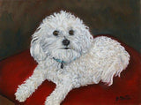 F&S Gift Store Custom Oil Painting Pet Portrait 8"x 8"