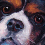 F&S Gift Store King Charles, custom Pet Portraits dog paintings in Oils by puci, 12x12 inches