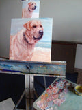 F&S Gift Store Golden Days at the Seashore, CUSTOM Pet Portrait Oil Painting by puci, 10x10"