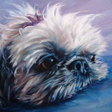 F&S Gift Store Shih Tzu Angel-T, custom Pet Portrait Oil Painting by puci, 12x12"