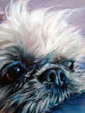 F&S Gift Store Shih Tzu Angel-T, custom Pet Portrait Oil Painting by puci, 12x12"