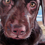 F&S Gift Store Puppy Portraits, custom Pet Portrait Oil Painting by puci, 10x10"
