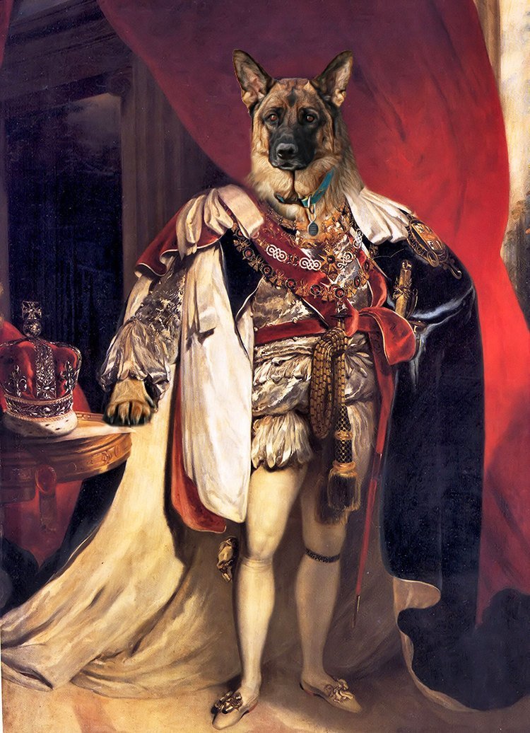F&S Gift Store King George V - Custom Pet Portraits - Dog Portraits and Cat Portraits - Digital personalized portrait painting using your Pet's Photo