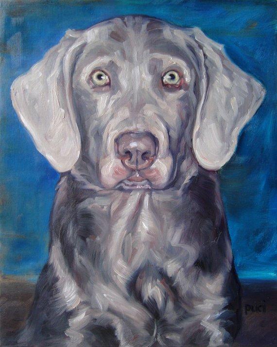 F&S Gift Store Silver Lab, custom Dog Portrait Oil Paintings by puci, 8x10"