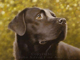 F&S Gift Store SPECIAL OFFER! Custom Pet Portrait Head & Shoulders Dog Oil Painting by award winning UK artist John Silver. 16 x 12 inches