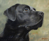 Personalized Oil Painting From Photos, handcraft art on Canvas-Show Case KGR102521-24