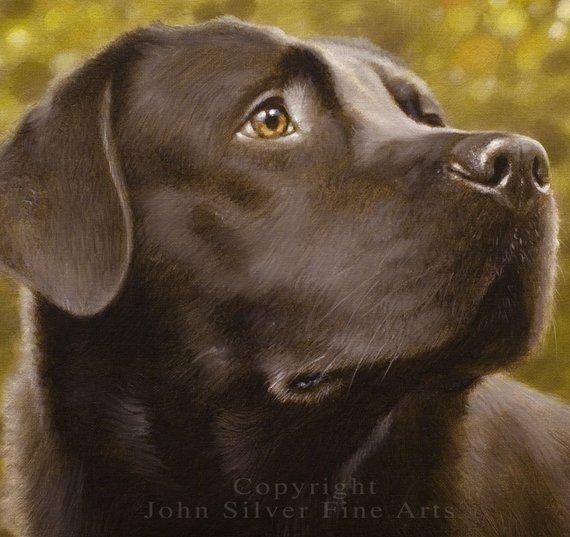 Personalized Oil Painting From Photos, handcraft art on Canvas-Show Case LHS102522-20