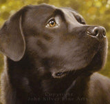 F&S Gift Store SPECIAL OFFER! Custom Pet Portrait Head & Shoulders Dog Oil Painting by award winning UK artist John Silver. 16 x 12 inches