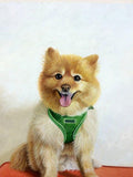 Personalized Oil Painting From Photos, handcraft art on Canvas-Show Case LGB101714-36
