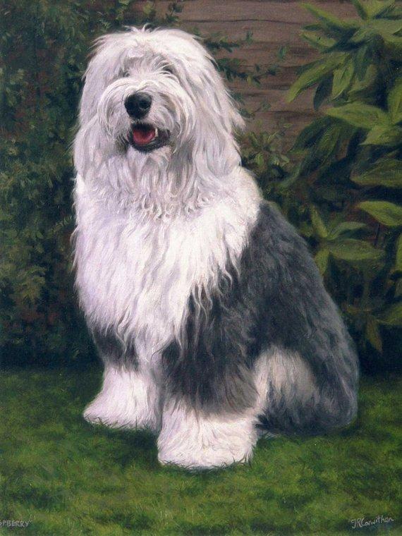Personalized Oil Painting From Photos, handcraft art on Canvas-Show Case INK100712-48