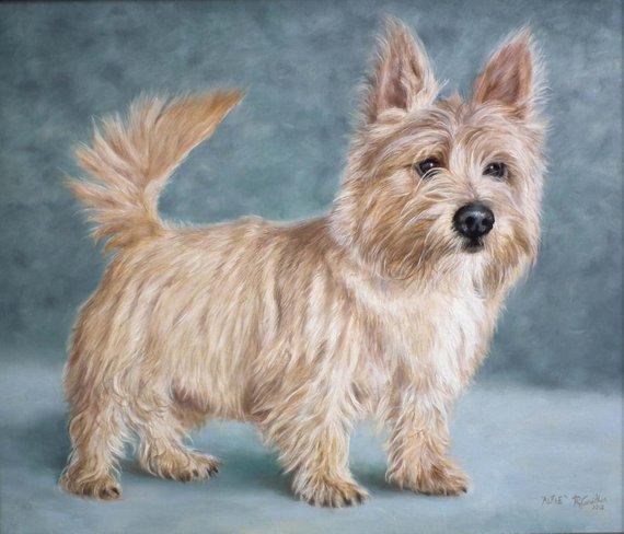 Personalized Oil Painting From Photos, handcraft art on Canvas-Show Case RFC101203-12