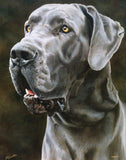 F&S Gift Store Custom Dog portrait, Pet portrait, Dog Painting, Dog art - oil painting on canvas. 50% DEPOSIT. Handmade Custom pet portrait.