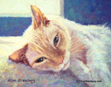 F&S Gift Store Flame Point Siamese Cat Custom Pet Portrait Oil Commission Painting from Photo 8" x 10" Wall Art Unique Gift For Cat Lover By Kim Stenberg