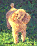 F&S Gift Store Miniature Poodle Custom Pet Dog Portrait Oil Commission Painting from Your Photo 8" x 10" Unique Gift For Dog Lover By Kim Stenberg