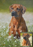 Personalized Oil Painting From Photos, handcraft art on Canvas-Show Case NDA101201-36