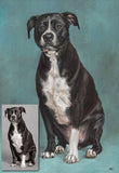 F&S Gift Store Custom pet portrait, dog portrait, Pit Bull - oil painting on canvas. 50% DEPOSIT. Handmade Custom pet portrait.