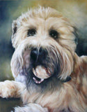 F&S Gift Store Custom Dog Portrait, CMQ Studio, Art, Oil Painting, Animal Painting, Pet Portrait, Portrait Commission, Animal Portrait, 11x14