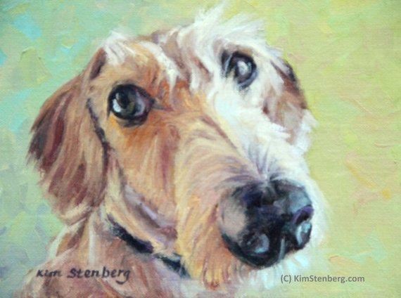 F&S Gift Store Wire Haired Dachshund Sausage Dog Custom Pet Portrait Oil Commission Painting from Photo 6" x 8" Wall Art Unique Gift By Kim Stenberg