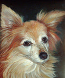 F&S Gift Store Custom Pet Portrait - Papillion Portrait - Papillion Painting from your Photo - Portraits by NC