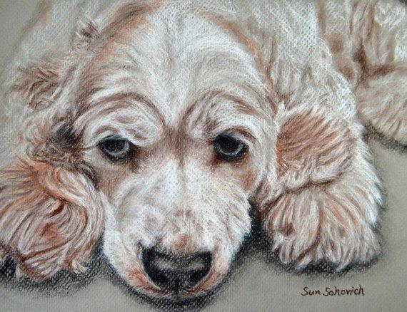 F&S Gift Store Cocker Speniel, Custom pet portraits, custom dog portrait, dog painting, custom dog drawing, Portrait commission, dog lover's gift, 9x12"
