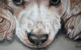 F&S Gift Store Cocker Speniel, Custom pet portraits, custom dog portrait, dog painting, custom dog drawing, Portrait commission, dog lover's gift, 9x12"