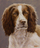 F&S Gift Store SPECIAL OFFER! Custom Pet Portrait Head & Shoulders Dog Oil Painting by award winning UK artist John Silver. 12 x 10 inches