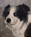 F&S Gift Store SPECIAL OFFER! Custom Pet Portrait Head & Shoulders Dog Oil Painting by award winning UK artist John Silver. 12 x 10 inches
