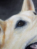 Personalized Oil Painting From Photos, handcraft art on Canvas-Show Case FHE101043-20